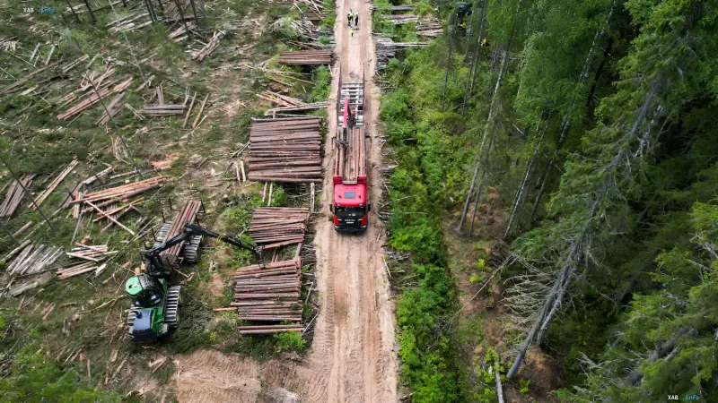 Holzeinschlag in Russland: Beladung von Holz auf einen Lkw vor dem Hintergrund eines 30-prozentigen Rückgangs der Holzexporte nach China