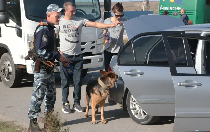 Военнослужащий с собакой проводит досмотр автомобиля на блокпосту в Крыму в условиях режима ЧС