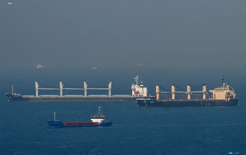 Торговельні судна в Азовському морі після атаки дронів, що призвела до зупинки експорту зерна через Донсько-Азовський канал