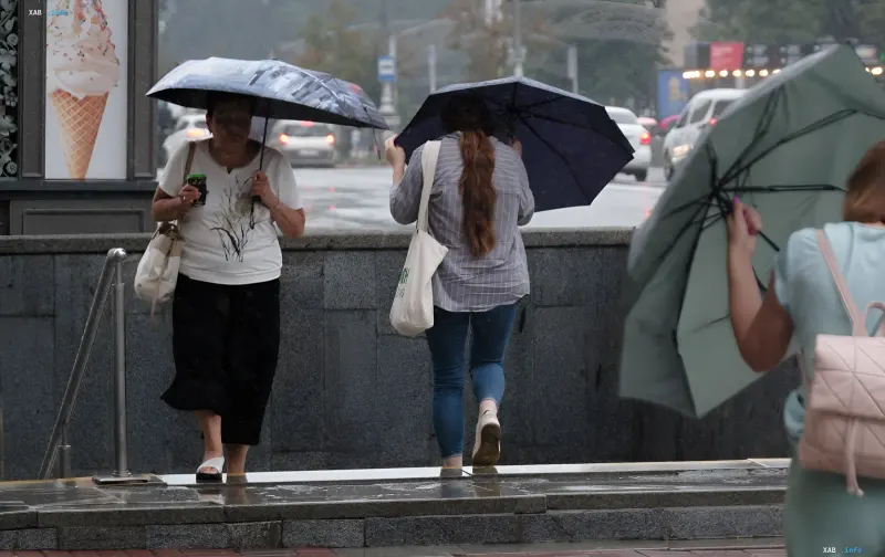 People with umbrellas walking in the rain in a city, illustrating the meteorologists' warning about the weather in Ukraine on July 13