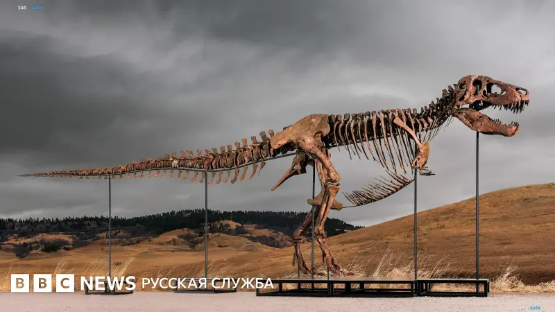 Skelett des Tyrannosaurus Rex Gus vor einer Landschaft, versteigert bei Sotheby's für 50 Millionen Dollar