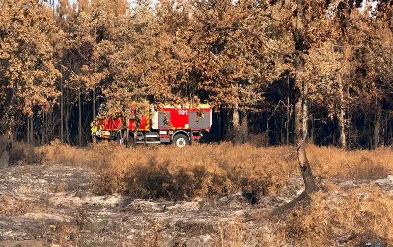 Ukrainian fire truck from the State Emergency Service in the Gironde forest, France, during wildfire operations