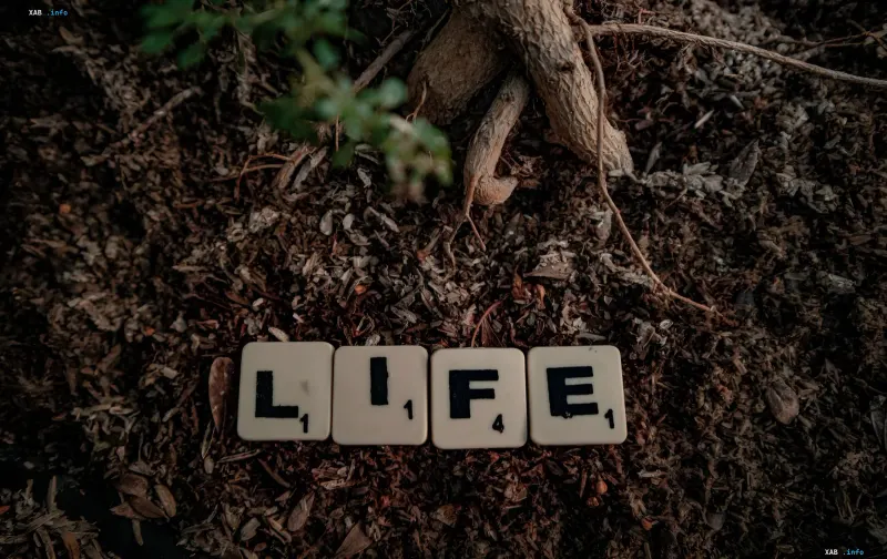 Scrabble-Buchstaben, die LIFE auf Erde nahe Baumwurzeln bilden — Metapher für doppelte Geburt des Lebens laut deutschen Wissenschaftlern