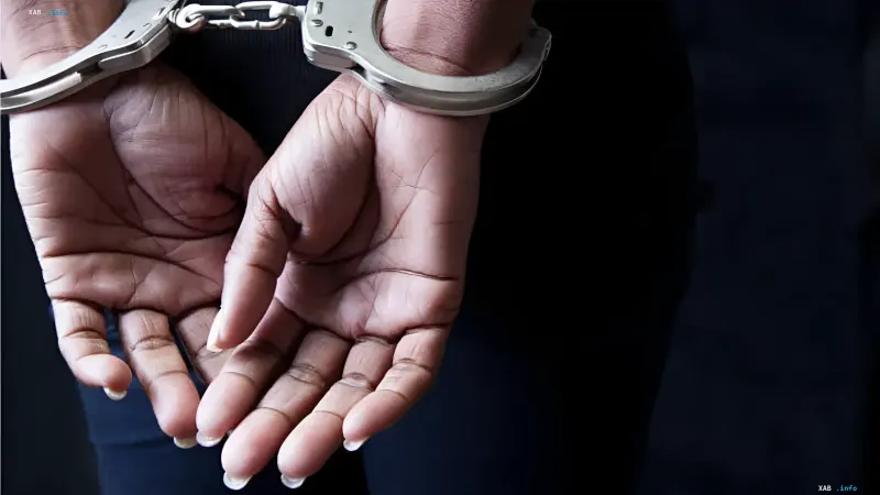 Hands in handcuffs: symbol of the uncovered anime merchandise fraud scheme worth $2.7 million