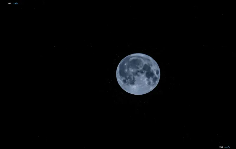 Vollmond vor sternenklarem Himmel: Bedingungen in Mondkratern, unter denen nach NASA-Angaben irdische Mikroben überleben könnten