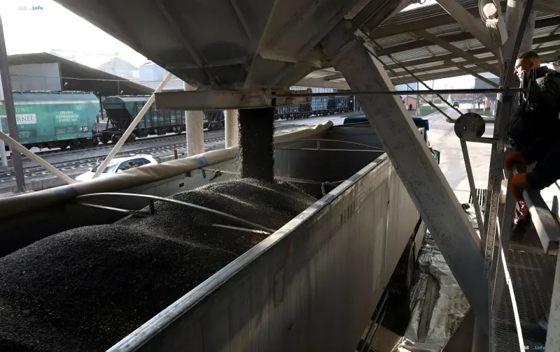 Loading grain agricultural product into a rail wagon at an export terminal amid logistics disruptions
