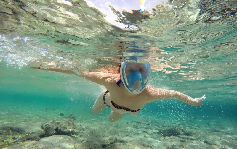Underwater snorkeling photo in the crystal-clear waters of Marsa Alam resort in Egypt