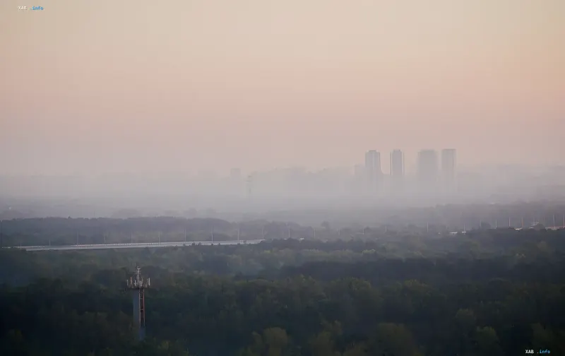 Hazy smog-covered horizon over forest and high-rise buildings in Kyiv Oblast after Russian attacks, deteriorating air quality