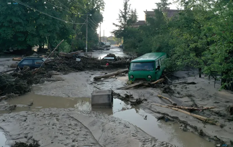 Наслідки катастрофічного селового потоку після обвалу льодовика в Гімаляях: бруд, повалені дерева та застряглі в розтопі автомобілі