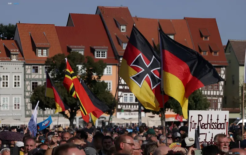 AfD-Anhänger mit deutschen Flaggen und Parteilogos bei einer Demonstration nach dem Sieg der Partei in Sachsen-Anhalt