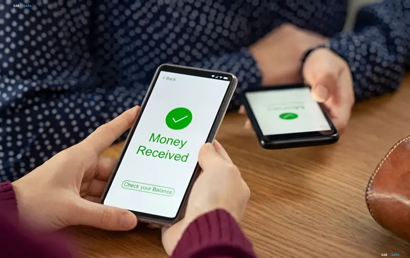 Mobile confirmation of money received on a smartphone: Ukraine's MFO market shifts toward transparency and quality digital service