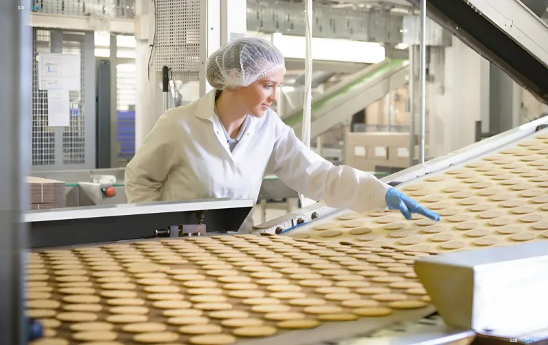 Arbeitnehmerin an einer Produktionslinie in Polen — Kontext des Mindestlohn-Anstiegs auf 4.950 Złoty ab 2027