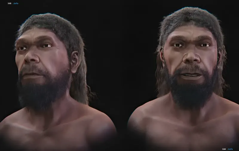 3D model of the oldest Homo sapiens face from Jebel Irhoud