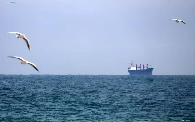 Seestreitkräfte und das Schwarze Meer vor dem Hintergrund von Bulgariens Erklärungen zur NATO-Sicherheit