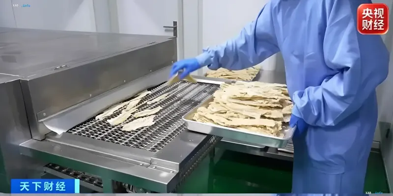 Chinesische Snacks auf dem internationalen Markt