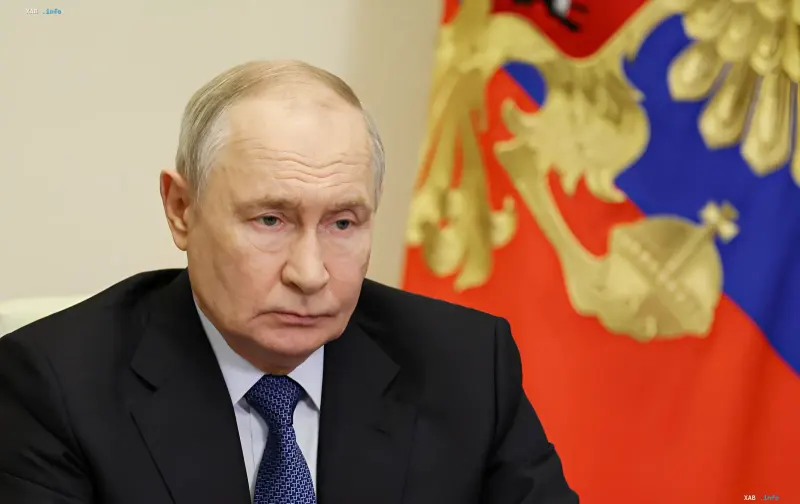 Vladimir Putin at an official meeting against the background of the Russian national flag