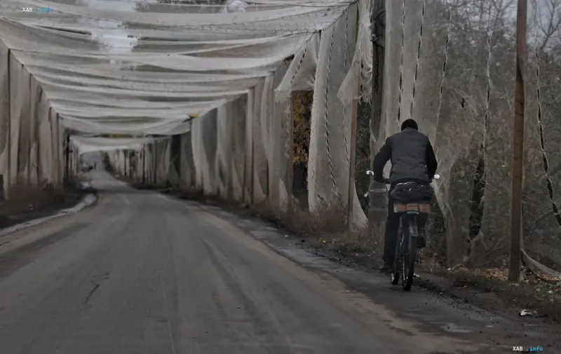 A cyclist rides down a road under a protective anti-drone net on an overcast day