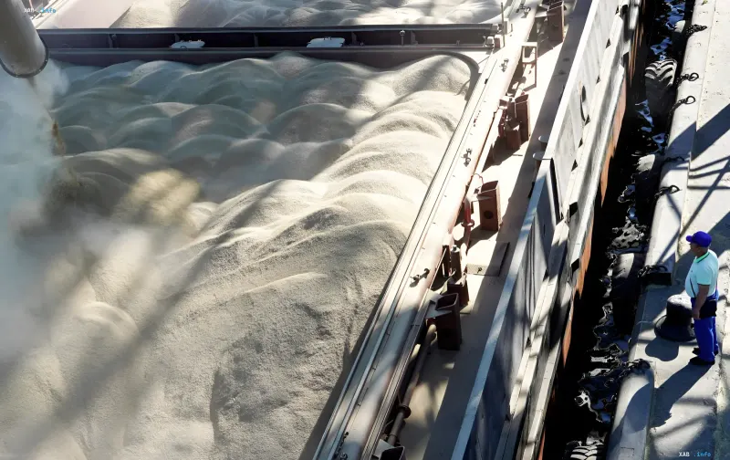 Verladung von Weizen auf ein Schiff in einem Hafen für den Getreideexport