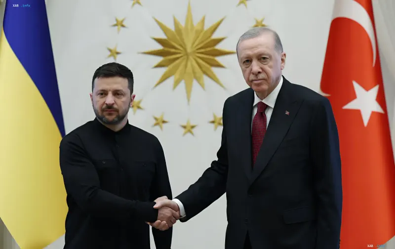 Президент Украины Владимир Зеленский и президент Турции Реджеп Тайип Эрдоган жмут друг другу руки на фоне флагов