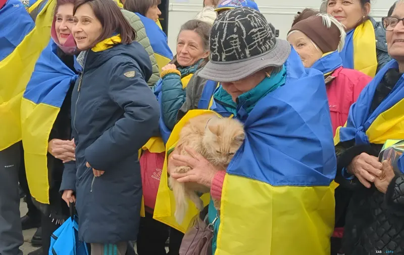 Frau hält einen roten Kater im Arm und ist in eine ukrainische Flagge gehüllt unter evakuierten Bewohnern