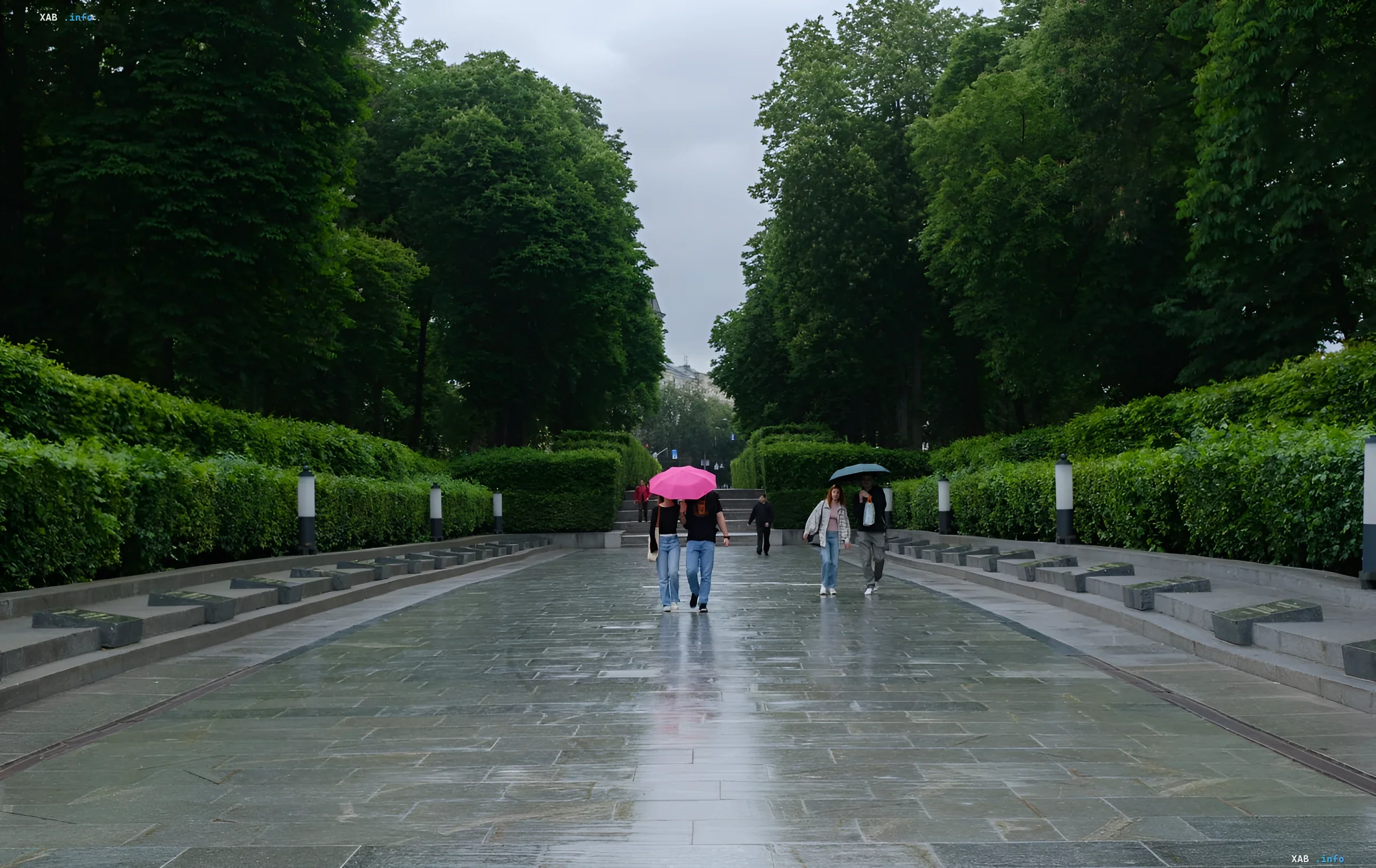 People with umbrellas walk along a wet park alley on a rainy day, illustrating the weather forecast for the first week of June in Ukraine