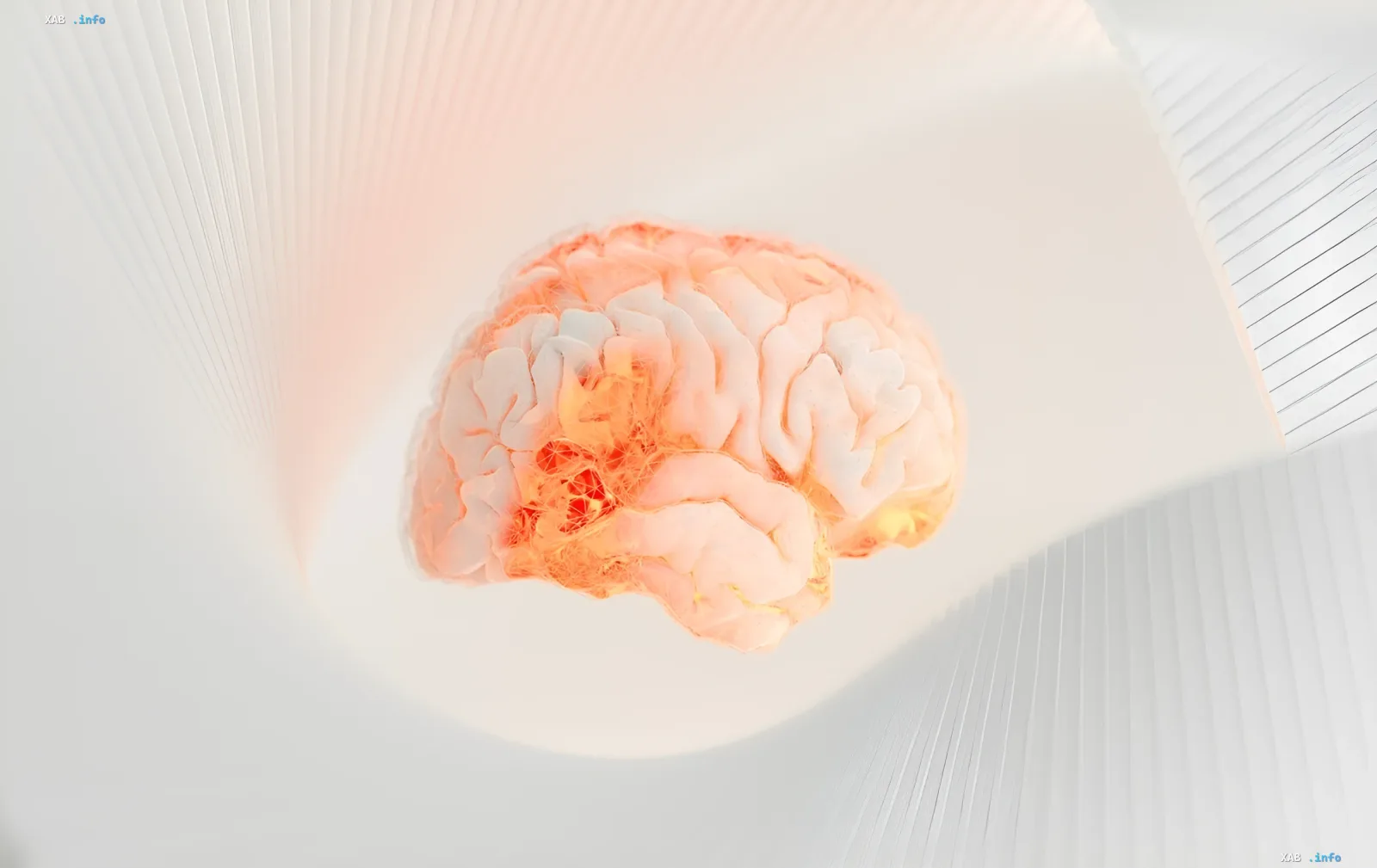 3D model of the human brain with active neural connections, symbolizing the technologies of the startup Flourish, which is developing an alternative to transformers