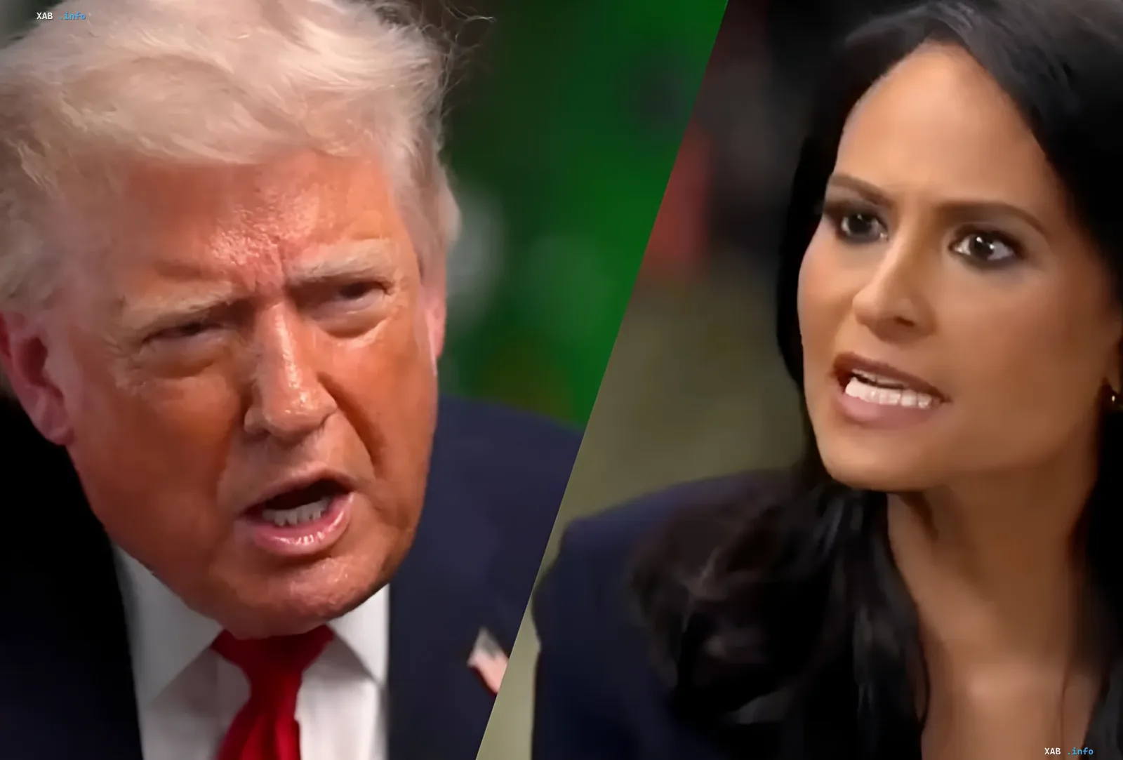 Дональд Трамп и ведущая NBC в момент конфликта во время интервью, обсуждающего фальсификацию выборов