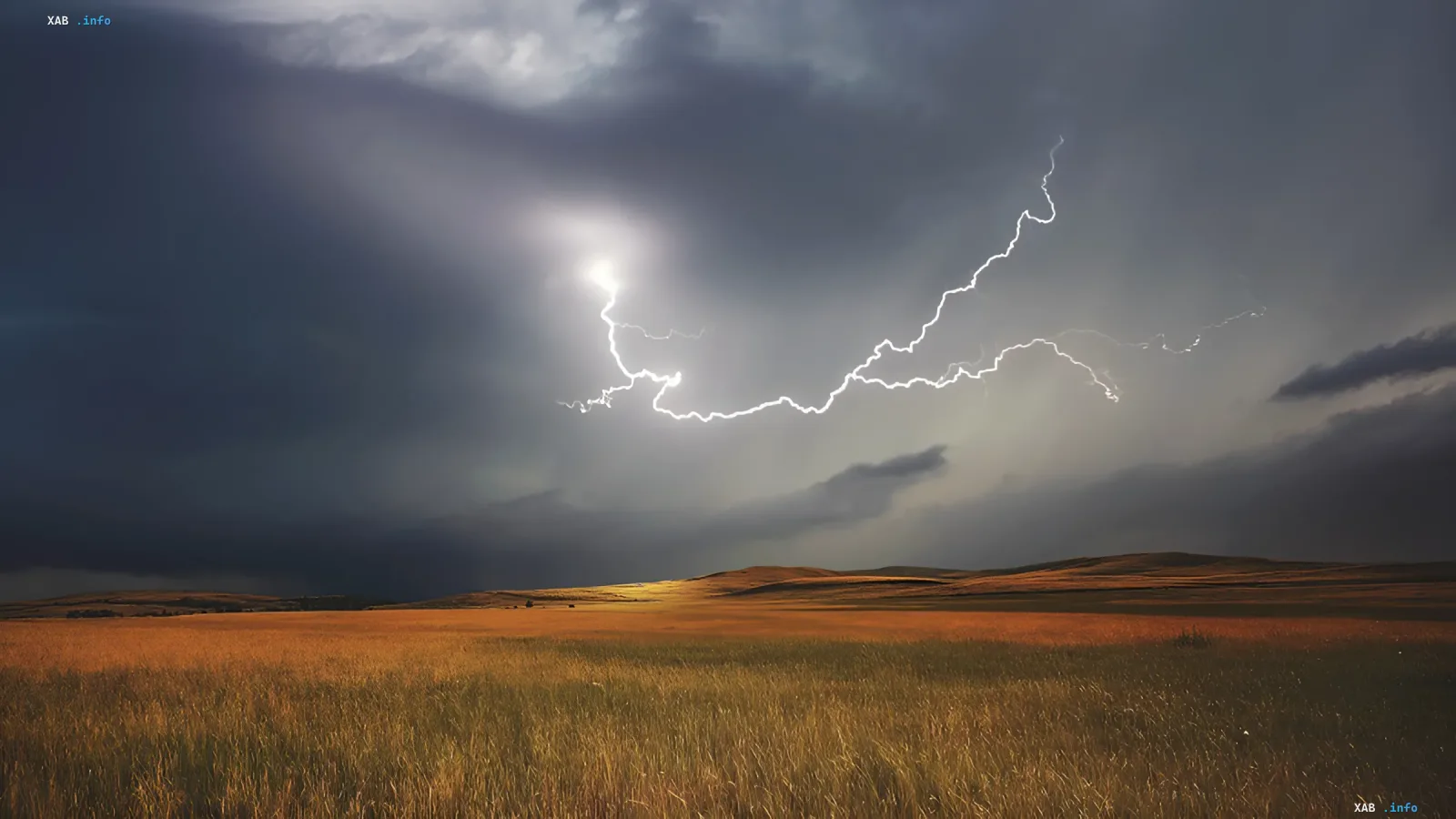 Powerful thunderstorm with lightning over a golden field in Left-Bank Ukraine — UAHydroMetCenter warning of yellow danger level