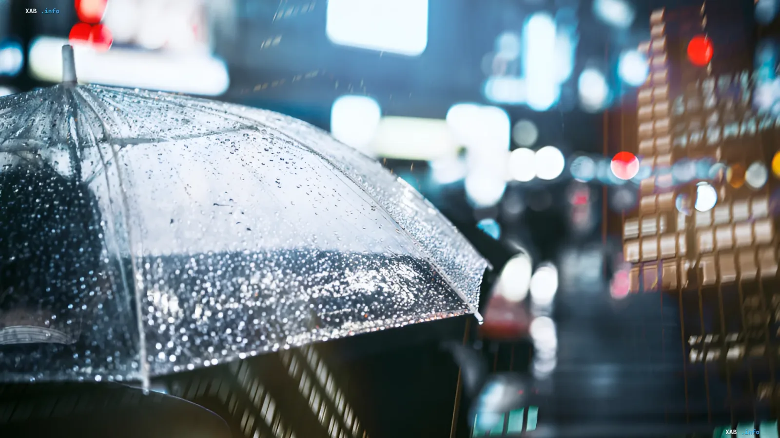 Durchsichtiger Regenschirm unter Regen vor verschwommenem Stadtnachthintergrund – Illustration zur Wettervorhersage über Gewitter und Regen in der Ukraine vom 9. bis 12. Juni