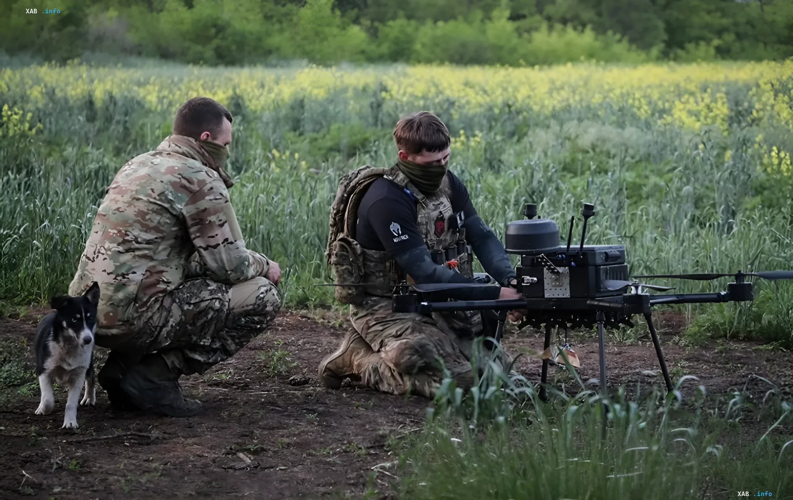 Военные операторы готовят дрон для разведки на фоне поля с желтыми цветами, символизируя контекст конфликта, за который Германия и Польша спорят о распределении 6,6 млрд евро из Европейского фонда мира