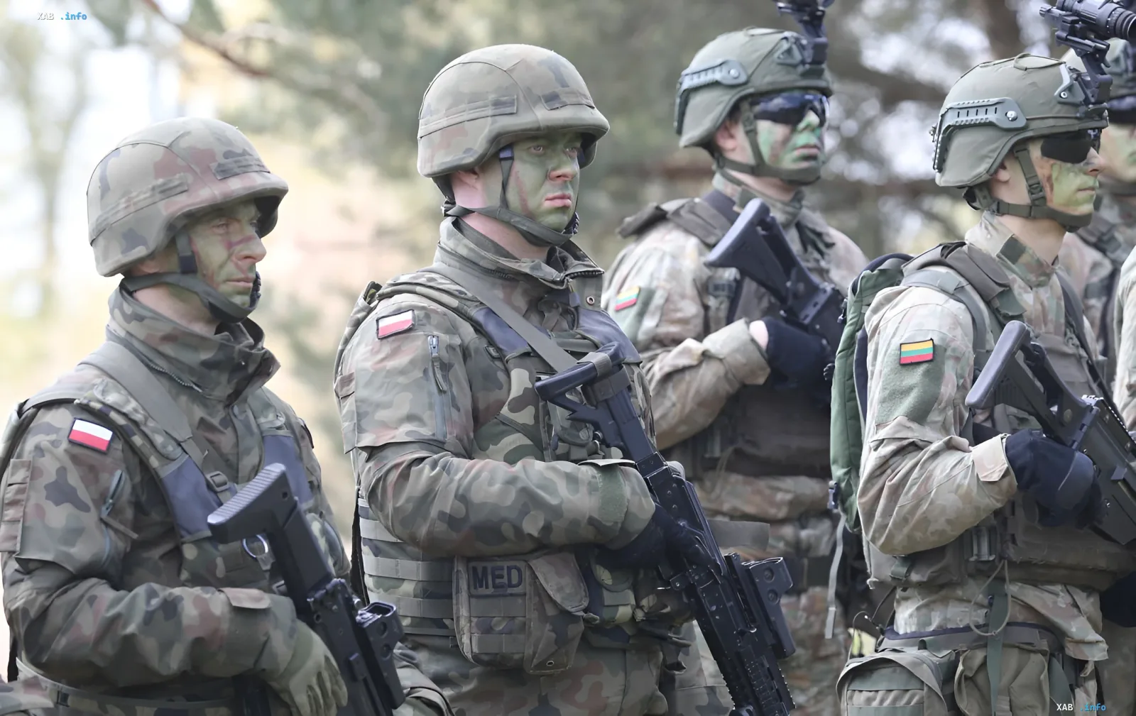 Polish and Lithuanian soldiers in camouflage with national flags on sleeves stand at attention with rifles, preparing for joint exercises in the Suwalki Corridor