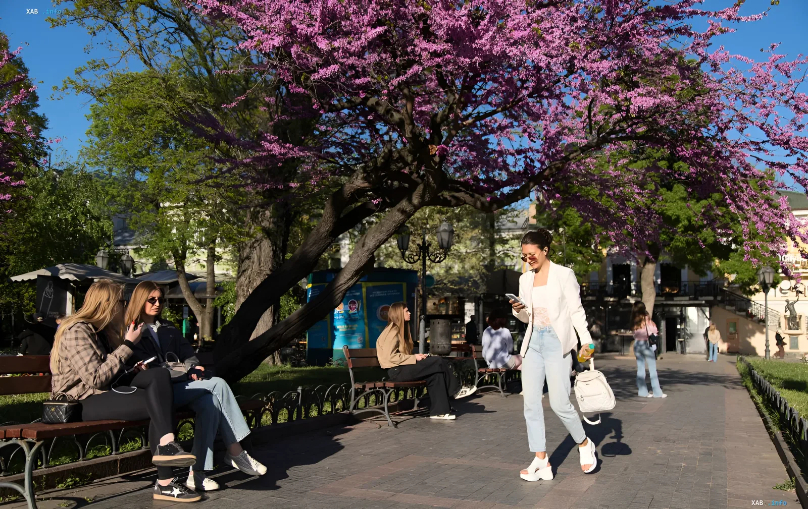 Young people relaxing in an Odessa park under a blooming tree, illustrating the daily life and multicultural atmosphere of the region described in the social survey