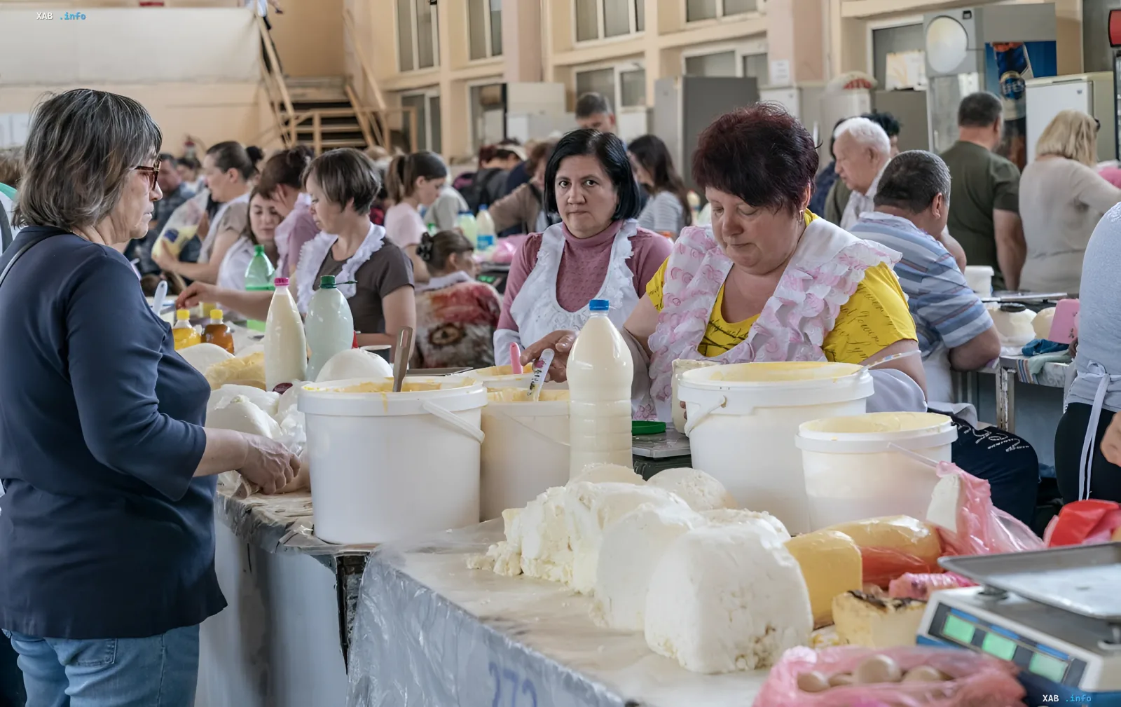 Women selling dairy products at a market in a frontline zone of Ukraine, showing the shift from office jobs to trade due to the war