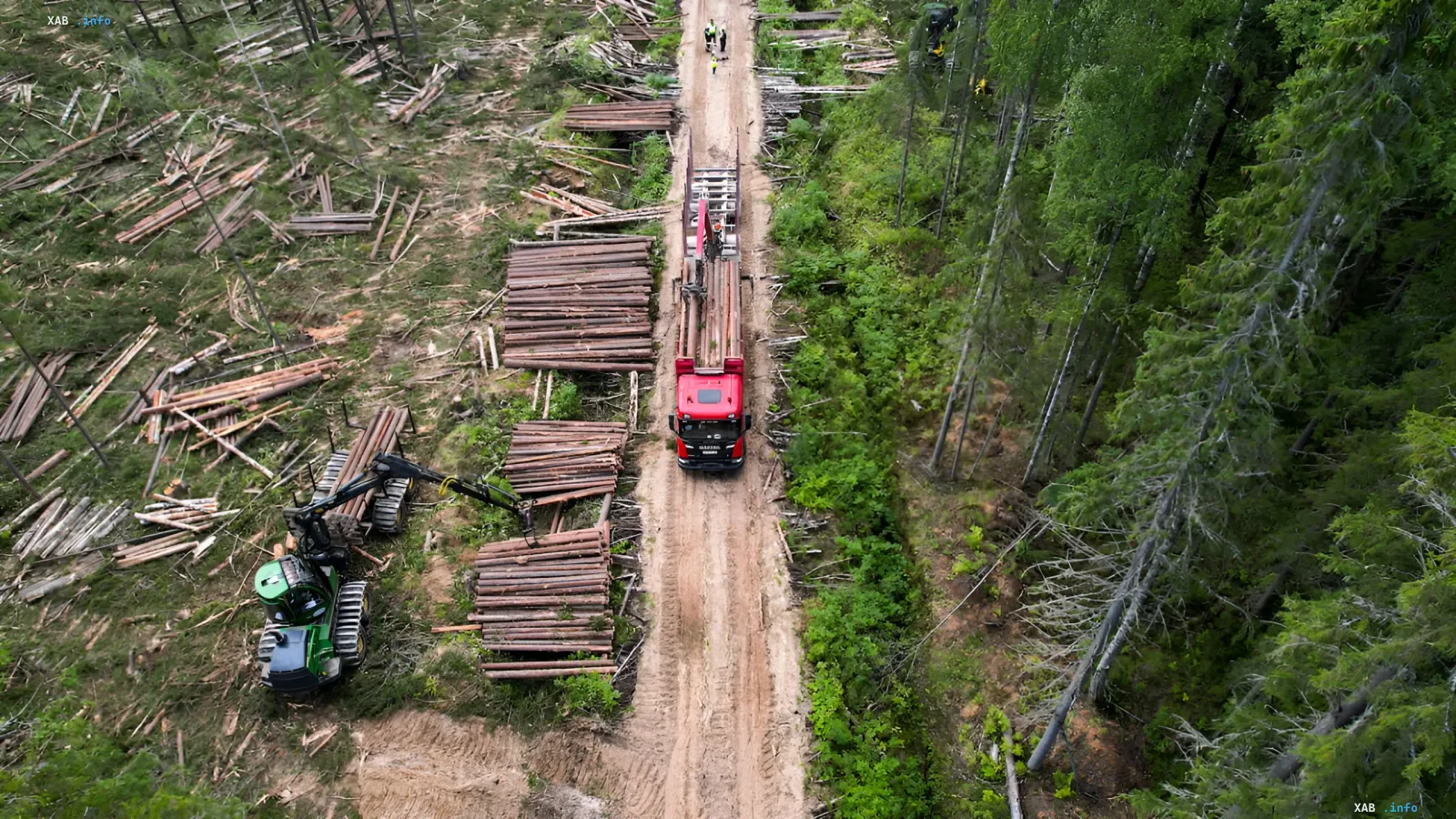 Holzeinschlag in Russland: Beladung von Holz auf einen Lkw vor dem Hintergrund eines 30-prozentigen Rückgangs der Holzexporte nach China