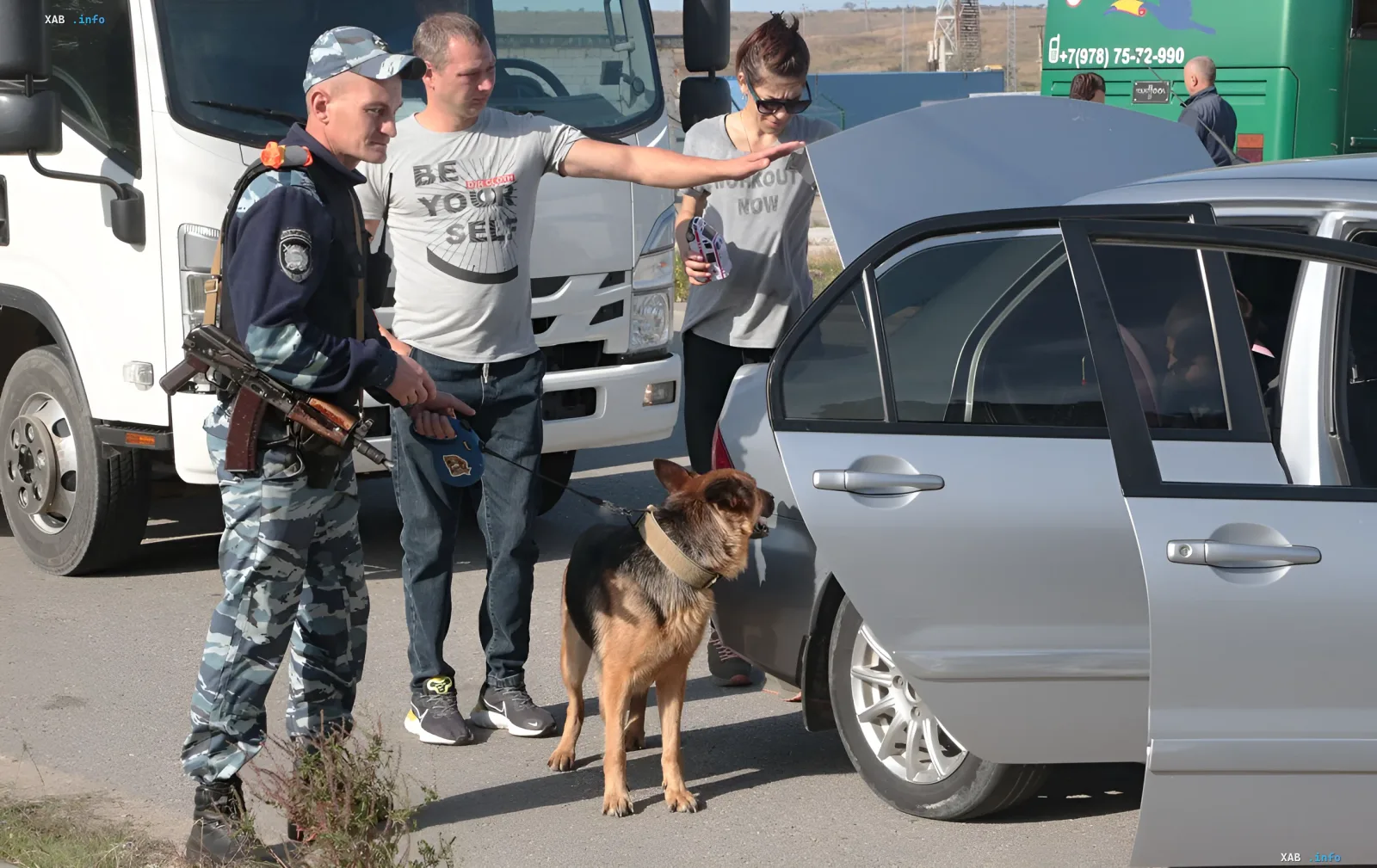 Военнослужащий с собакой проводит досмотр автомобиля на блокпосту в Крыму в условиях режима ЧС