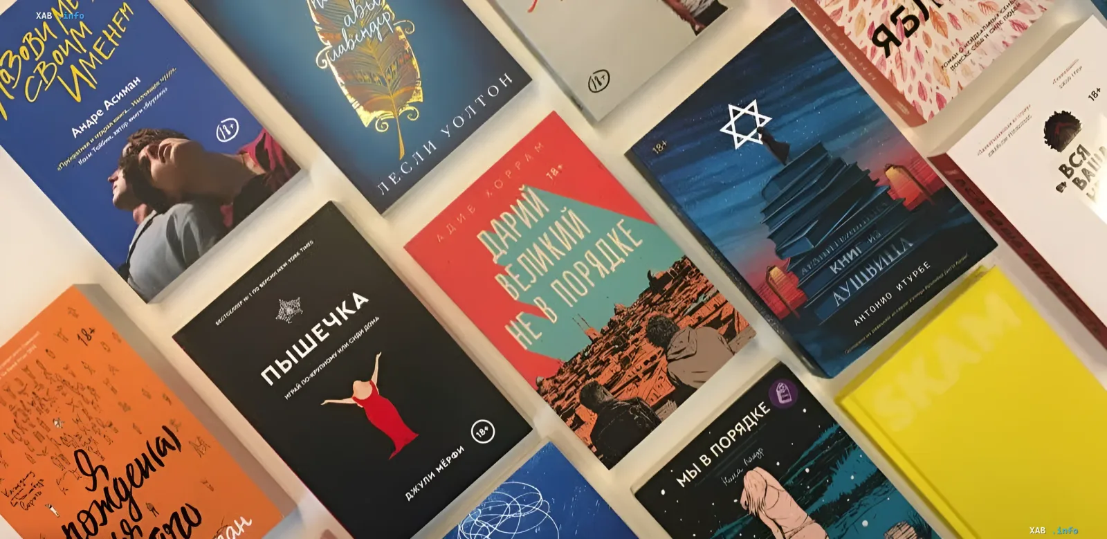 Bücher des Verlags Popcorn Books, die nach einer Kontrollkauf zu einem Extremismusstrafverfahren führten