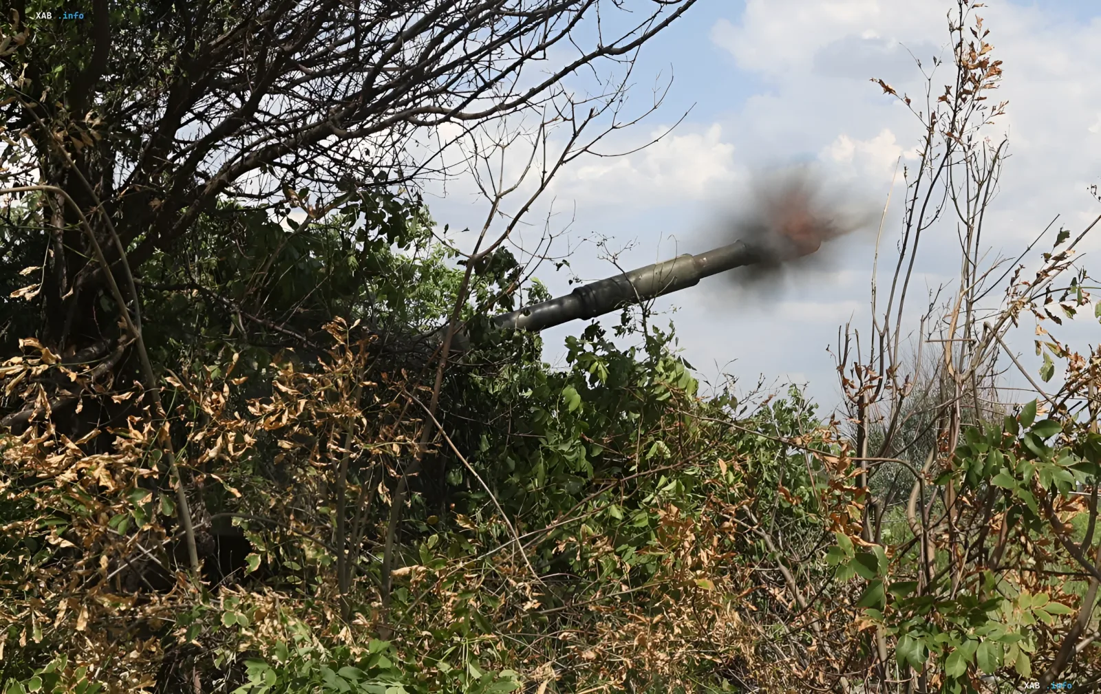 Artilleriegeschütz feuert aus Deckung im Gestrüpp und unterstreicht die Bedeutung von 155-mm-Munitionslieferungen für die ukrainische Armee