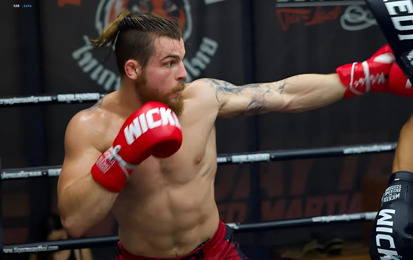 Boxer in red gloves delivers a powerful punch, showcasing strength and focus in the ring