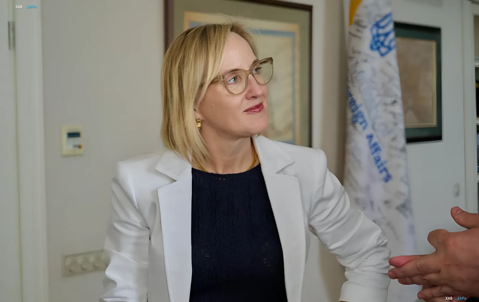 Julie Davis during a meeting with Andriy Sybiga, discussing support for Ukraine