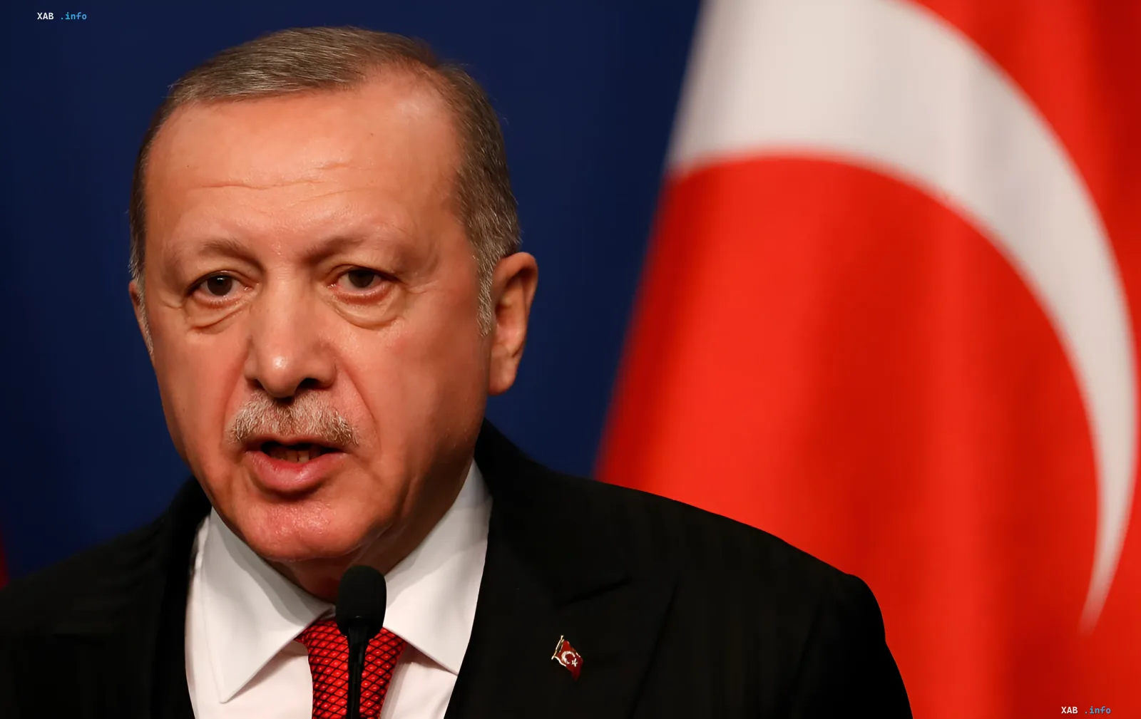 Turkish President Recep Tayyip Erdoğan speaks at a podium with the Turkish flag in the background, discussing peace initiatives at the NATO summit