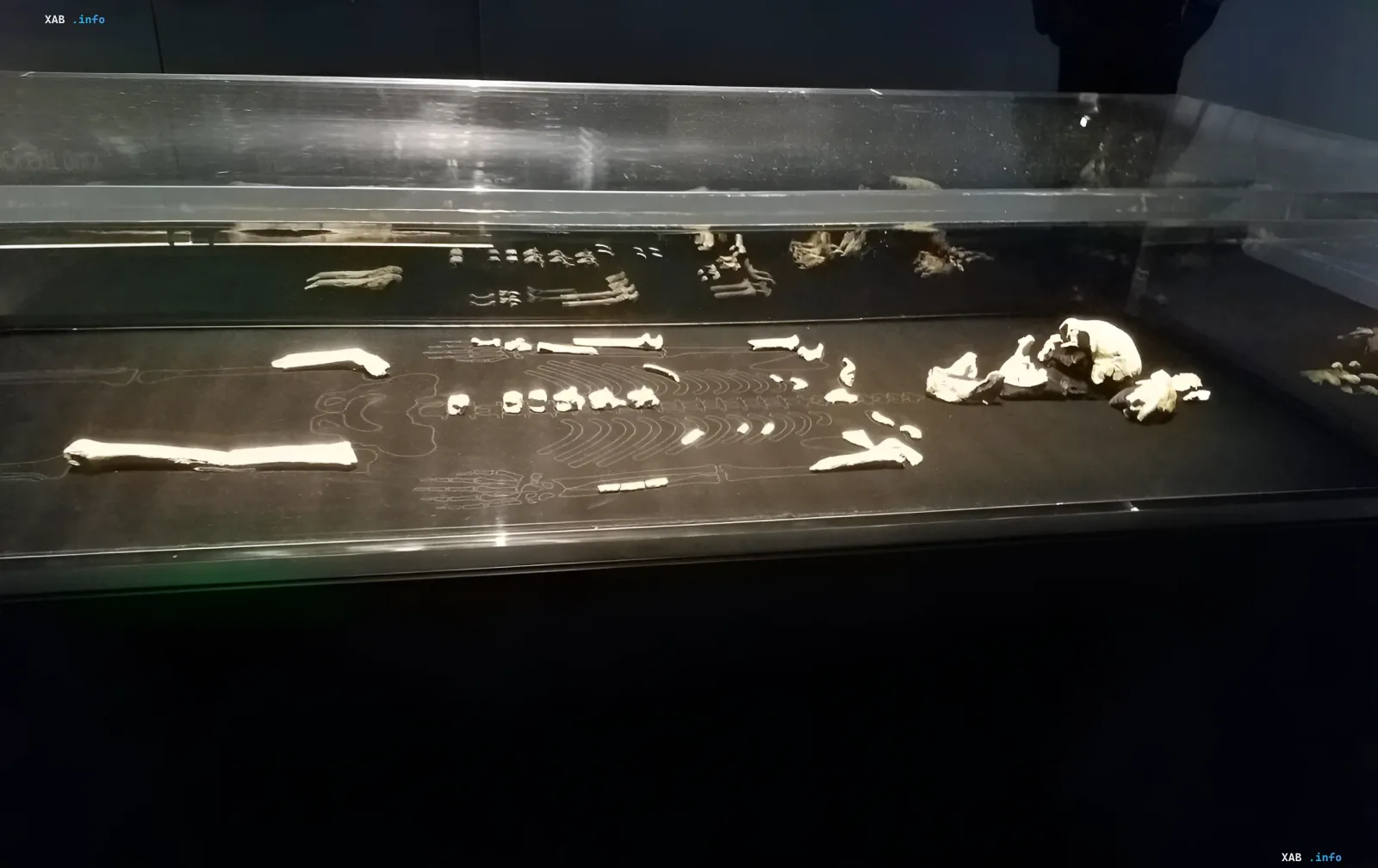 Скелетные останки Homo naledi в пещере Райзинг Стар, демонстрирующие загадочные практики захоронения