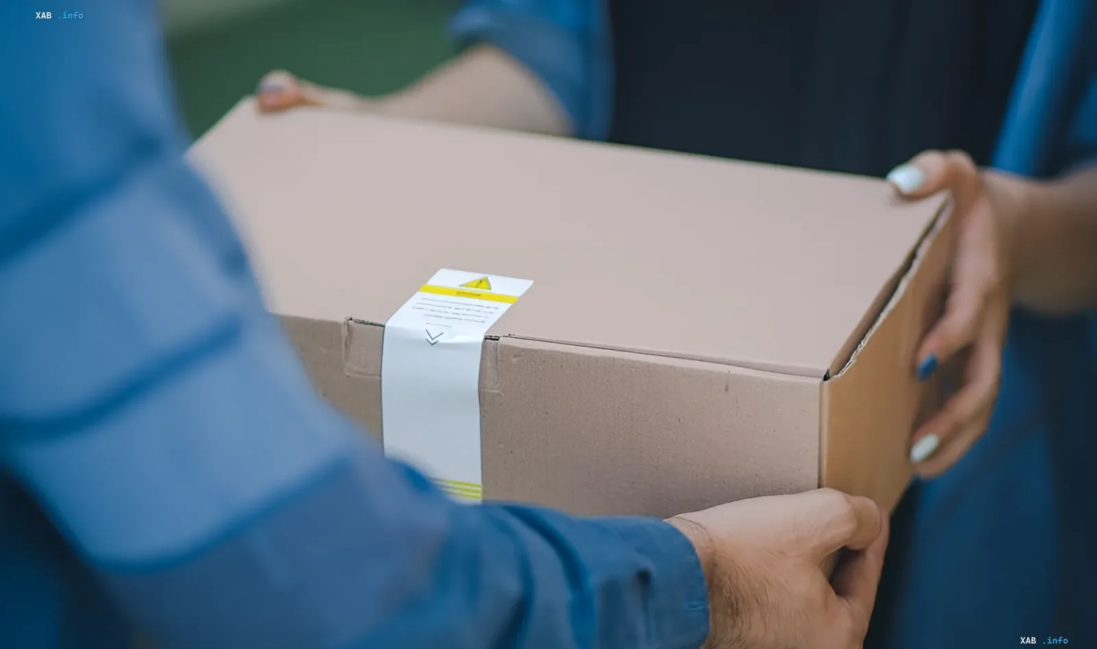 Handover of a cardboard delivery box — symbol of booming e-commerce now being restricted by France for Shein, Temu, and AliExpress