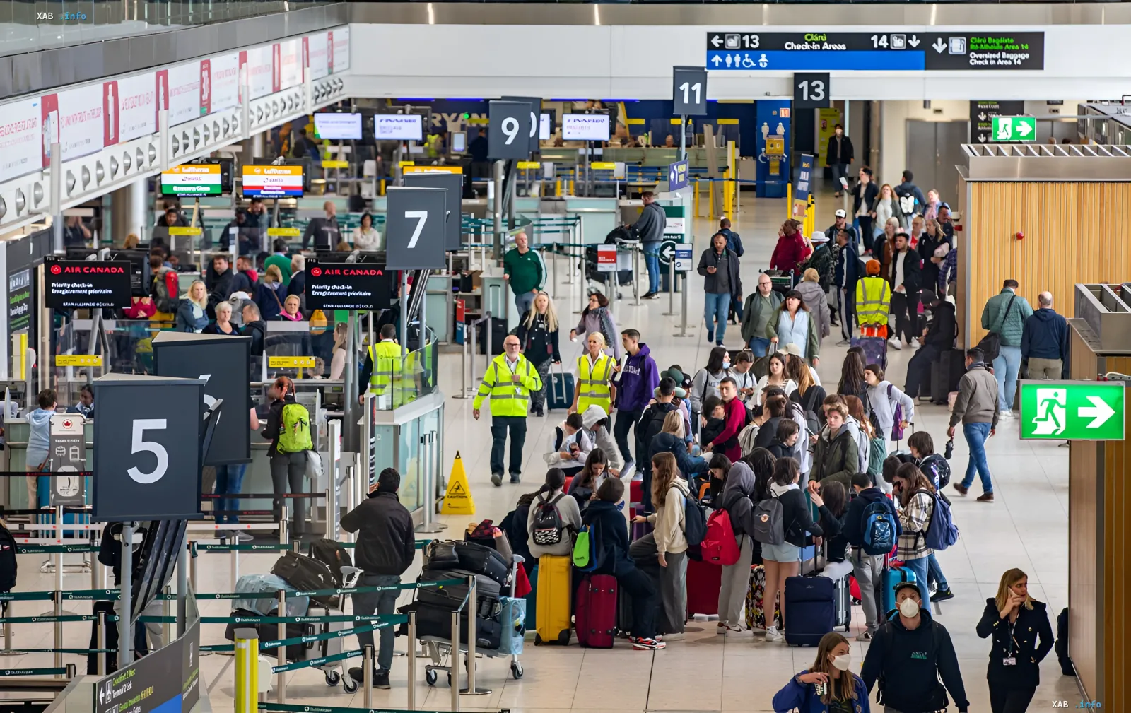 Long lines of passengers with luggage at airport check-in counters, illustrating delays caused by EES system glitches