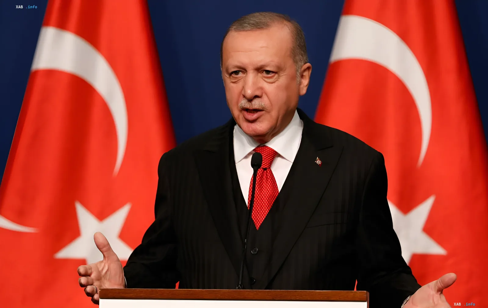 Turkish President Recep Tayyip Erdoğan speaks at a podium with Turkish flags behind him, discussing negotiations with Putin and peace initiatives