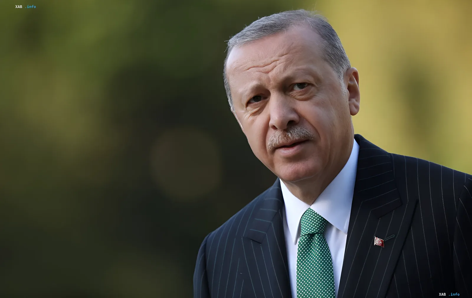 Turkish President Recep Tayyip Erdoğan in an official suit with a Turkish flag on the lapel, discussing international relations and gifts