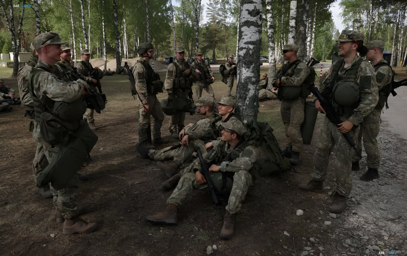 Литовські військові в камуфляжі відпочивають у лісі, обговорюючи патріотичний бум і рекордну кількість добровольців
