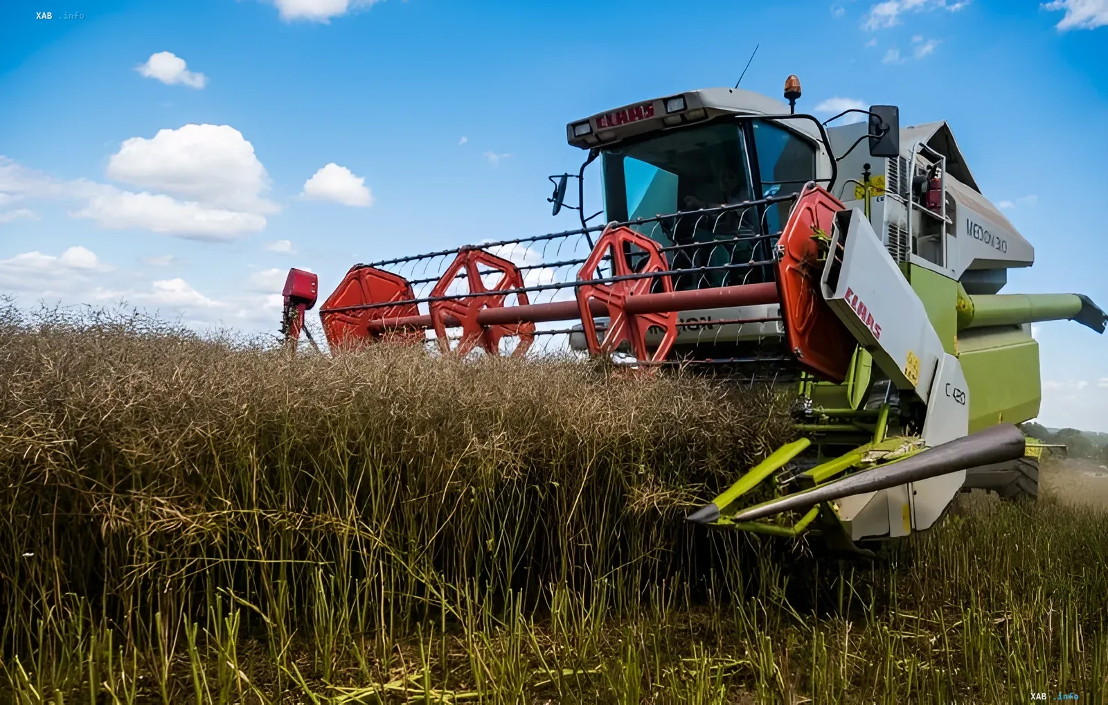 Комбайн CLAAS Lexion 300 на уборке урожая в условиях дефицита дизельного топлива и логистических сбоев, 2026 год