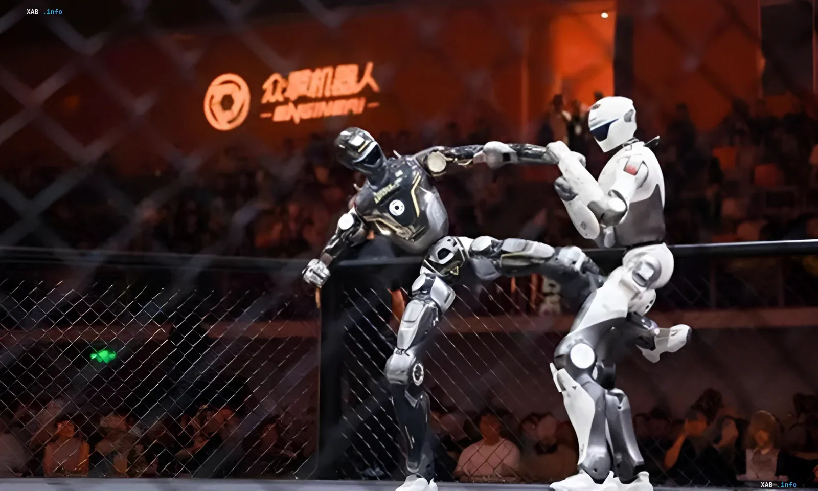 EngineAI T800 fighting robots battling at the URKL tournament in Shenzhen