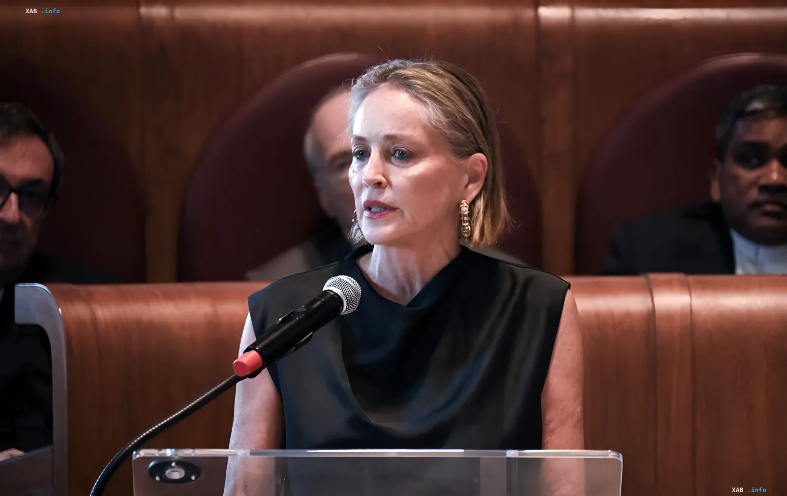 Шэрон Стоун выступает с речью на публичном мероприятии, демонстрируя силу духа после перенесенного инсульта