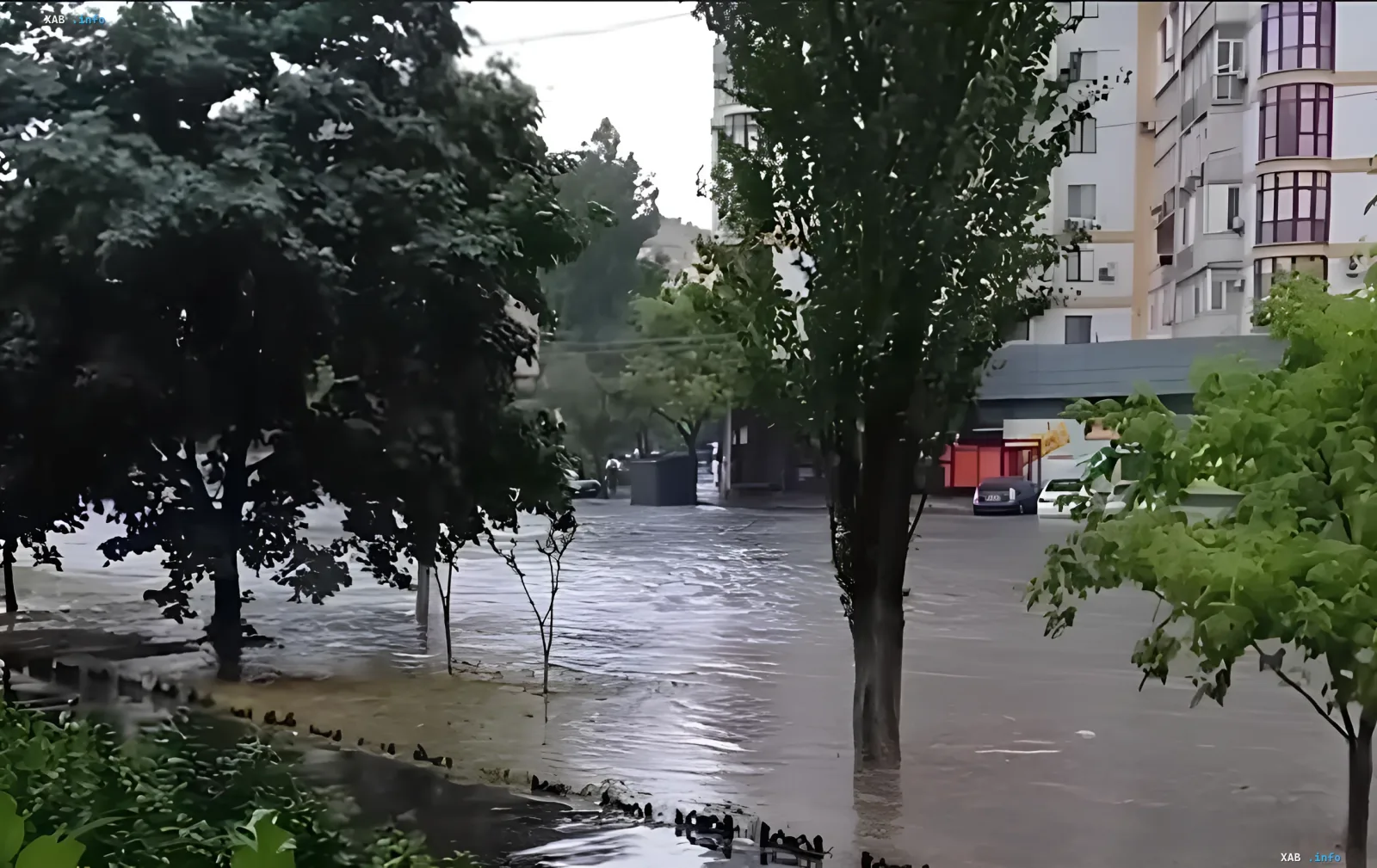 Затопленная улица в Одессе после мощного ливня, вода по колено, деревья и автомобили частично погружены в воду